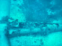 Roi-3=PICT0053.JPG (753127 bytes)